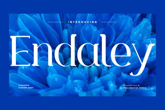 Endaley: Elevating Web Design with a Sophisticated Serif Typeface