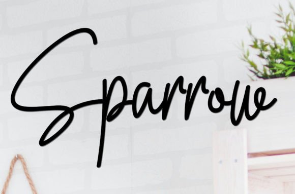 Sparrow: A Designer’s Take on This Script Amp Typeface